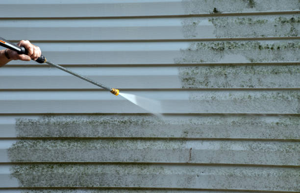 Best Building Exterior Washing  in St James, MD